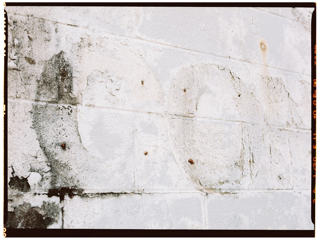 Mold Remediation service in Antioch, CA