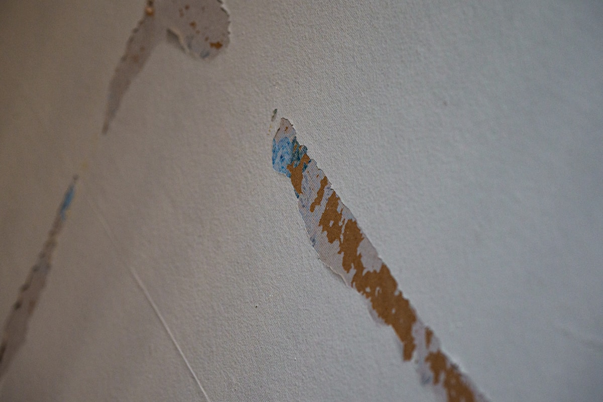 Flood Cleanup service in Antioch, CA